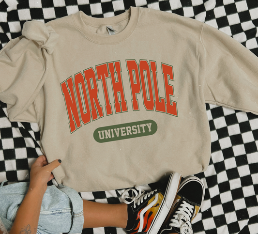 North Pole university