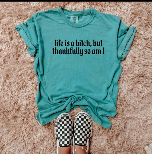 Life’s a bitch