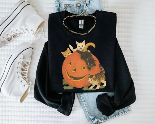Kitten pumpkin