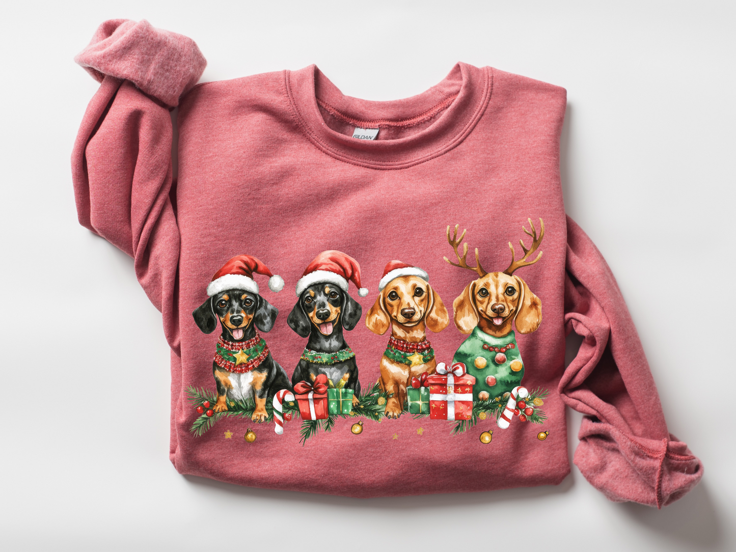 Weiner dog  Christmas #1