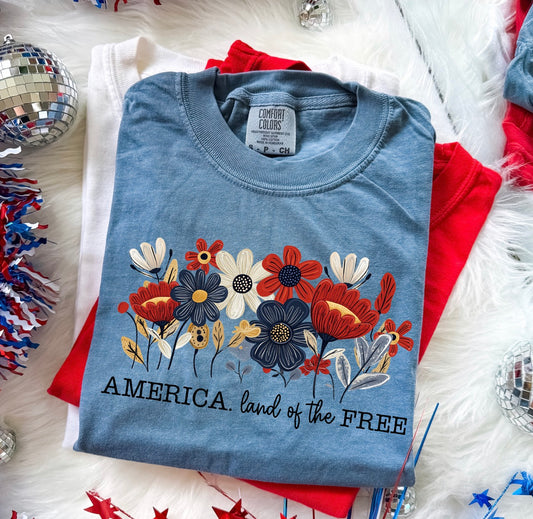 America land of the free