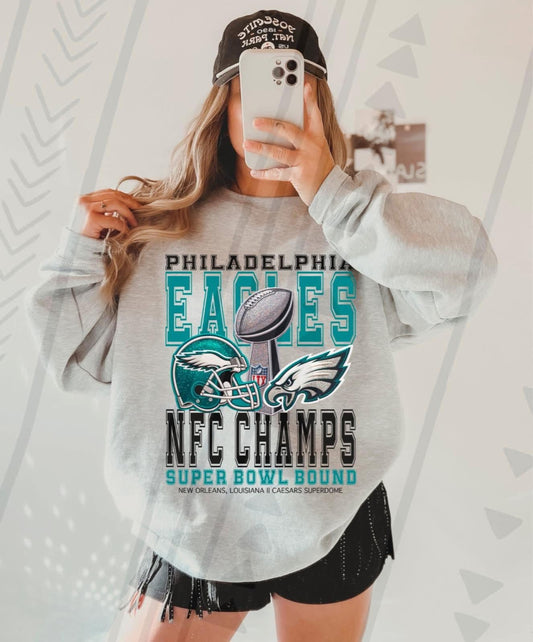 Philadelphia eagles nfc champs