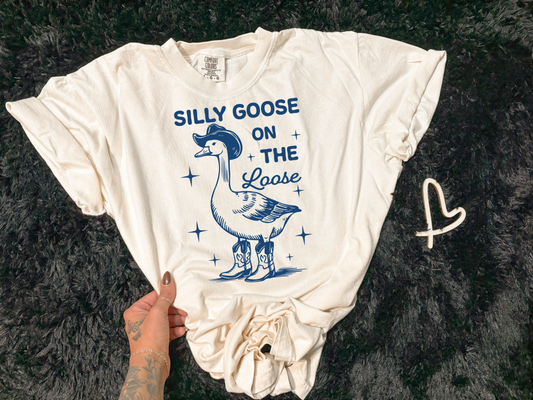 Silly goose on the loose -children